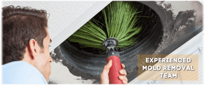 Air Duct Mold Removal in Long Beach CA